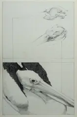 Trevor Weekes, Part A, Skull, Pencil