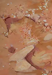 Clifton Pugh, Wild Flowers - Tibooburra [N.S.W.], 1973, Gouache