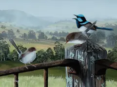Sitting on the Fence by James Hough, 2009, Acrylic on Board, sold Jul 2024