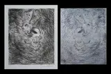 David Boyd, (2), Original Zinc Etching Plate & Original Etching 54/60 (2)