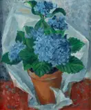 Margaret Olley, Hydrangeas