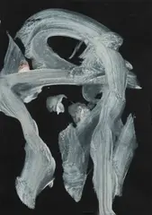 Adam Cullen, Head, 2010, Acrylic on Black Paper