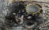 Janet Laurence, Earth Gatherings, 1984, Mixed Media on Paper
