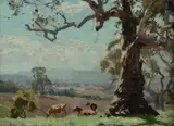 John Rowell, Cattle in Sunlight, Oil on Board