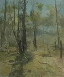 Lance Solomon, Bushman and Sheep