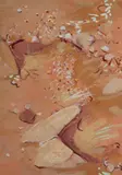 Clifton Pugh, Wild Flowers - Tibooburra [N.S.W.], 1973, Gouache