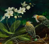 Blake Twigden, Purple-Crowned Fruit Pigeons and Orchids, 2001, Oil on Board
