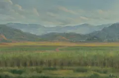 Jack Absalom, Japoon Valley [Qld], 1991, Oil on Canvas Board