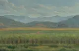 Jack Absalom, Japoon Valley [Qld], 1991, Oil on Canvas Board