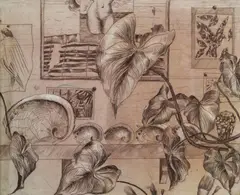Cressida Campbell, Interior with Foliage and Shells, 1979, Inked Drypoint Synthetic Plate