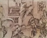 Cressida Campbell, Interior with Foliage and Shells, 1979, Inked Drypoint Synthetic Plate