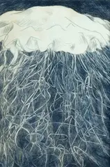 Cressida Campbell, Untitled, 1979, Inked Drypoint Synthetic Plate