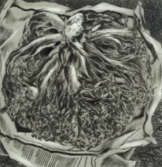 Cressida Campbell, Cabbage Study, 1979, Inked Drypoint Synthetic Plate