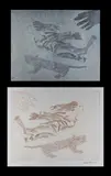 Charles Blackman, (2), Original Zinc Etching Plate & Original Etching APVI/VI (2)