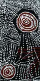 Bill Whiskey Tjapaltjarri, Rockholes Near The Olgas, 2008, Acrylic on Board
