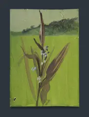 Plant in Landscape by William Dobell, Gouache, sold Apr 2024