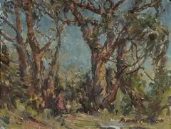 Trees at Lane Cove by Elaine Coghlan, Oil on Board, sold Apr 2024