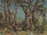 Elaine Coghlan, Trees at Lane Cove, Oil on Board