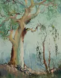 Alan Grieve, Sentinel Gum, Oil on Canvas on Board