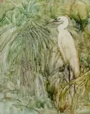 William Boissevain, Egret