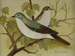 Frances Jones, White Throats, Oil on Board