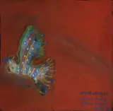 Greg Hyde, Mootwingee - Parrot Having Painted Himself, 1982, Pastel
