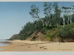 David Rose, The Bush at Bateau Bay, 1991, S/Print 67/90