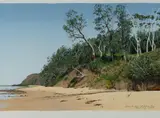 David Rose, The Bush at Bateau Bay, 1991, S/Print 67/90