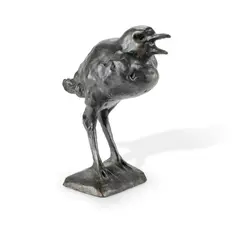 Jan Brown, Raven