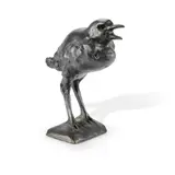 Jan Brown, Raven