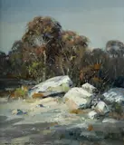 Doug Sealy, Mountain Gums from Grose Road, Springwood, Oil on Canvas on Board