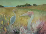 Dahl Collings, Sarus Cranes, 1986, Oil on Canvas
