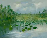 Colleen Parker, The Wetlands, Kakadu