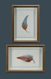 Colin Parker, (2), Oil on Leaf (2)
