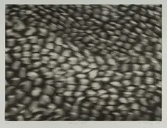 Dancing Light I by Susan Pickering, 2004, Etching 6/25, offered Mar 2024