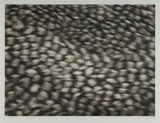 Susan Pickering, Dancing Light I, 2004, Etching 6/25
