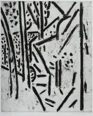 Jeffrey Makin, Pathway Hanging Rock I, 1989, Sugar Lift Etching 22/25