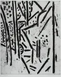 Jeffrey Makin, Pathway Hanging Rock I, 1989, Sugar Lift Etching 22/25