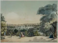 François Cogné, Botanical Gardens (1863), Printed by Charles Troedel for 'The Melbourne Album'