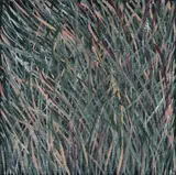Barbara Weir, Grass Seeds, c.2003, Acrylic on Linen