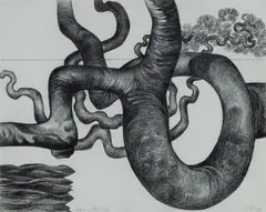 Shay Docking, Horn of the Sea, 1978, Pencil