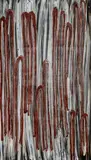 Samantha Hobson, Strong family... mine, 2006, Acrylic on Canvas