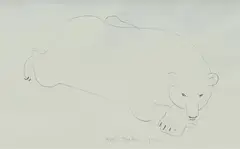 Eric Anchor Thake, Polar Bear, 1974, Pencil