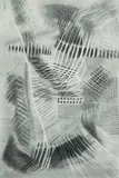 Irene Amos, Trematodic, Charcoal & Pencil