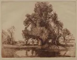 Sydney Long, The Land of the Lavender, Etching 20/30