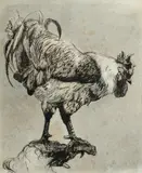 Ian Fairweather, Rooster