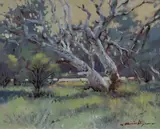 Brian Allison, By the Bulloo, Oil on Canvas Board