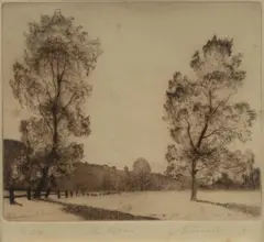 Elioth Gruner, The Poplars, Etching No.24