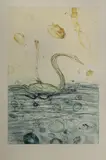 John Olsen, Black Swans on the Ord, 1984, Coloured Etching A/P
