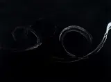 Clinton Nain, Untitled, 2007, Oil on Canvas